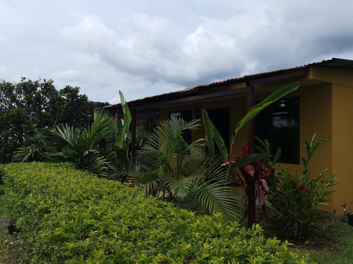 Dreamcatcher House Sarchí Exterior foto